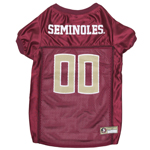 FSU-4006 - Florida State Seminoles - Football Mesh Jersey